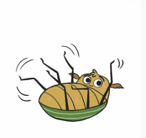 Burt the Beetle illustration - Burt is laying on his back with his 6 feet in the air