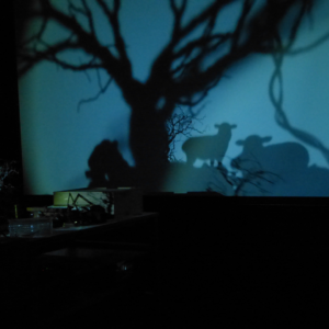 Image of the shadow of a large tree and sheep with a dark blue hue for the ‘A Story of a House that Turned into a Dot’ performance