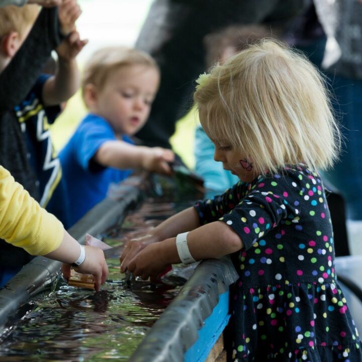 Image of children participating in on site activities in the activity village