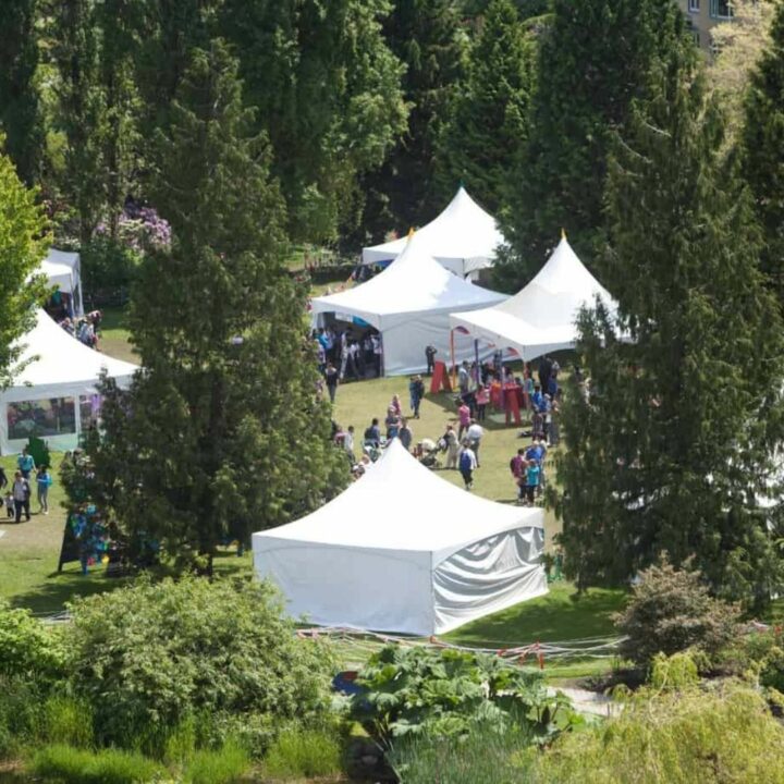 Image of white tents in forest from above