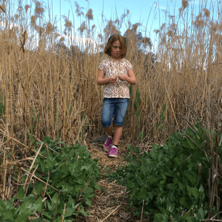 a girl looking down at her hands while standing outside in a tall grass field