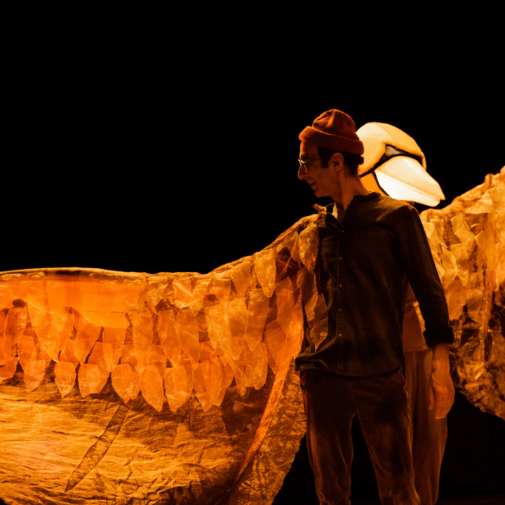 A performer poses in a large, bird puppet costume.