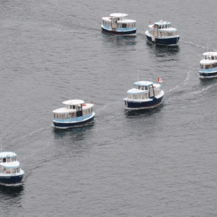 An image of the False Creek Ferries boats driving in a snake shaped line, one after the other.